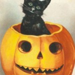 Halloween - elrejti a fekete macska!