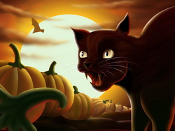Хеллоуїн - ховайтеся чорні кішки!