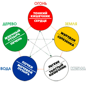 Хочу густе волосся! Лікування випадіння волосся за допомогою китайської медицини