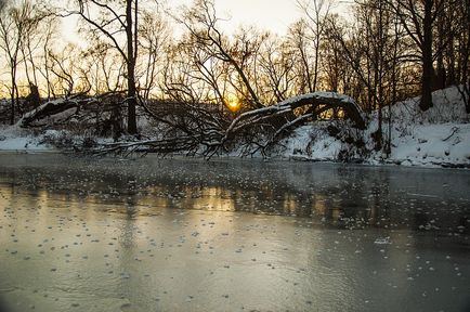 Abandonat Estate Novikov în Avdotino, photoblog alexandr jocuritsev