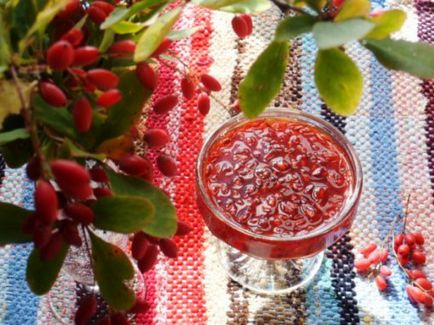 Бонбони берберис през зимата - компот рецепти, ликьори и конфитюри