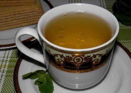 Zöld Tea Reishi gomba, orvosok maguk (zöld) Zöld Tea Reishi gomba, orvosok maguk