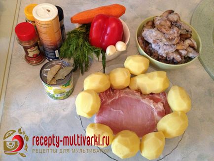 Roșie de carne de porc într-un multivarchet acasă - o rețetă pentru gătit în Panasonic și Redmond