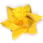 Jasmine origami schema