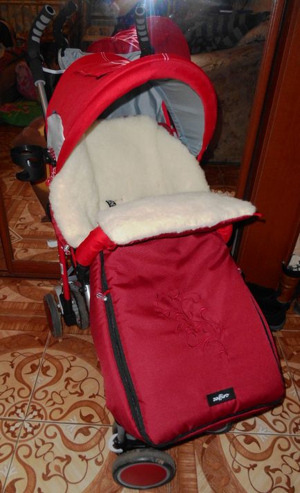 Зимова коляска тростину, коляска тростину для зими - вагітність, материнство, будинок, сім'я, діти,
