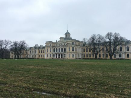 Знам'янка великокнязівська резиденція на межі виживання