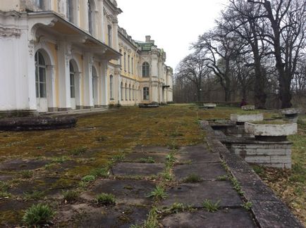 Знам'янка великокнязівська резиденція на межі виживання