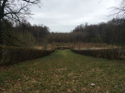 Знам'янка великокнязівська резиденція на межі виживання