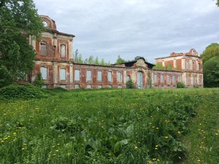 Знам'янка великокнязівська резиденція на межі виживання