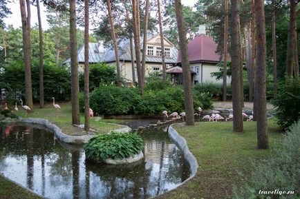 Gradina Zoologica a Rigului - istorie, obiective turistice si fotografii