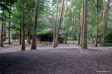 Gradina Zoologica a Rigului - istorie, obiective turistice si fotografii