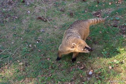 Gradina Zoologica a Rigului - istorie, obiective turistice si fotografii