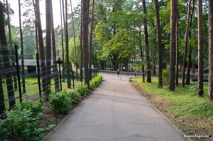 Gradina Zoologica a Rigului - istorie, obiective turistice si fotografii