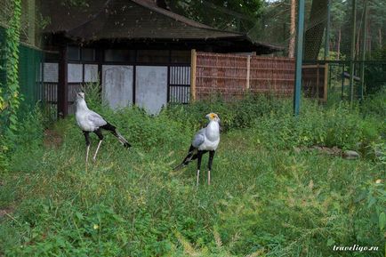 Gradina Zoologica a Rigului - istorie, obiective turistice si fotografii