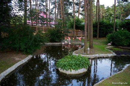 Gradina Zoologica a Rigului - istorie, obiective turistice si fotografii