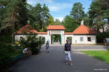 Зоопарк клуні - історія, пам'ятки і фото