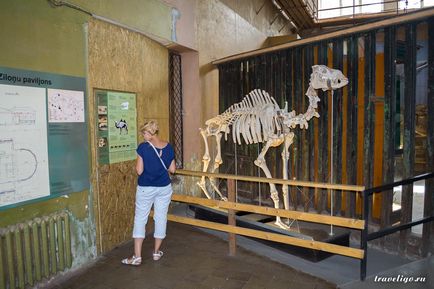 Gradina Zoologica a Rigului - istorie, obiective turistice si fotografii