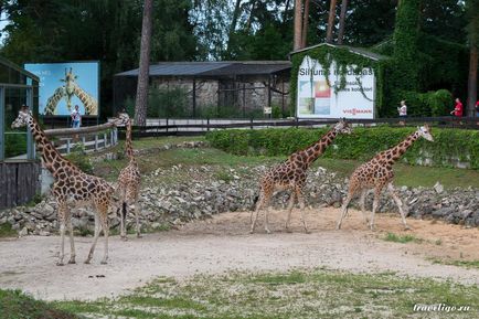 Gradina Zoologica a Rigului - istorie, obiective turistice si fotografii