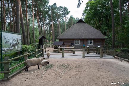 Gradina Zoologica a Rigului - istorie, obiective turistice si fotografii