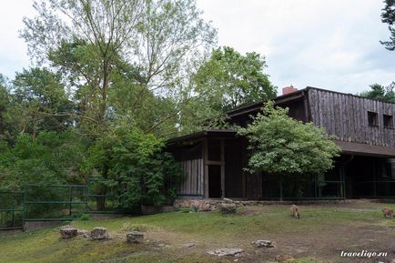 Gradina Zoologica a Rigului - istorie, obiective turistice si fotografii