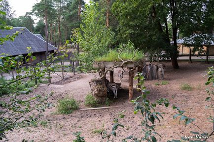 Gradina Zoologica a Rigului - istorie, obiective turistice si fotografii