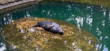 Gradina Zoologica a Rigului - istorie, obiective turistice si fotografii