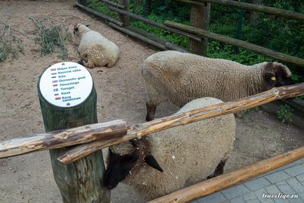 Gradina Zoologica a Rigului - istorie, obiective turistice si fotografii