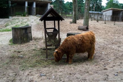 Gradina Zoologica a Rigului - istorie, obiective turistice si fotografii