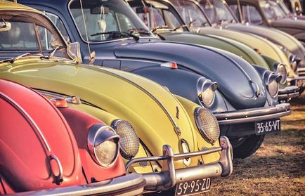 10 Цікавих фактів про volkswagen beetle