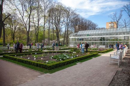 10 ok, hogy menjen a „patikus Garden” kulturális Moszkva