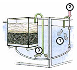 Aerarea și filtrarea apei în acvariu