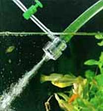 Аерація і фільтрація води в акваріумі