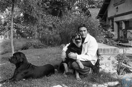Alain Delon și cei 35 de câini ai săi