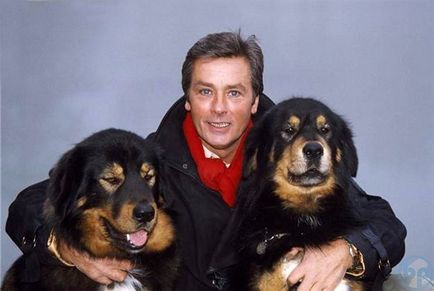 Ален Делон і його 35 собак