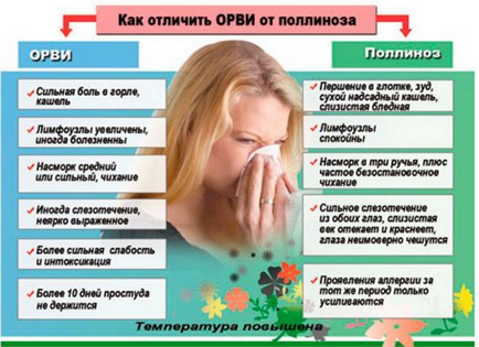 Алергія на літо