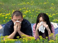 Алергія - не хвороба, блог про здоров'я