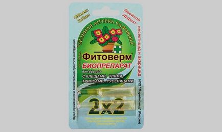 Хвороби і шкідники бальзаміну - симптоми і способи боротьби відео