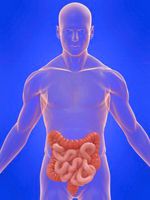 Boli ale sistemului digestiv al omului