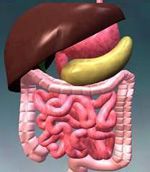 Boli ale sistemului digestiv al omului