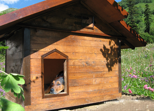 Booth pentru un câine cu propriile mâini fotografie, planuri, instrucțiuni, sfaturi