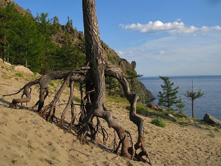 Бухта піщана, відпочинок на Байкалі, фанат Байкалу