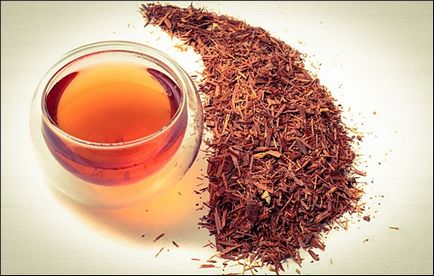 Ceaiul catuba are proprietăți utile ale stimulantului plantelor cerebrale