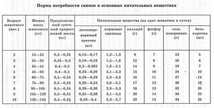 Чим годувати в'єтнамських поросят, щоб вони швидко набирали вагу