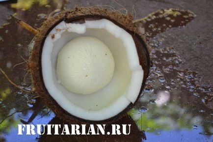 Ce este comestibil în palmierul de nucă de cocos și cocos