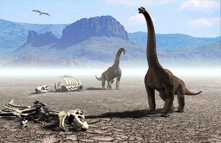 Mi történt a dinoszauruszokkal, 316news