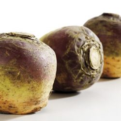 Ce este o rutabaga, proprietati utile si contraindicatii retete si fotografii