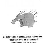 Що значить макіяж для жінок різного віку, корисно про красу