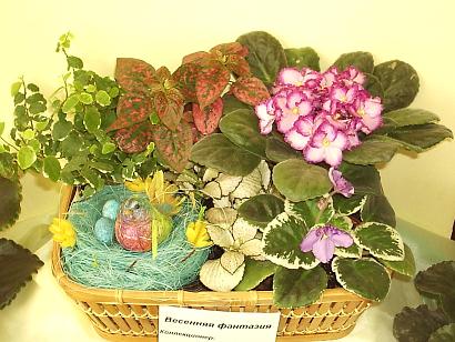Compoziții de flori cu violete