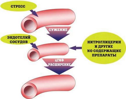 Az akció a nitroglicerin testépítés