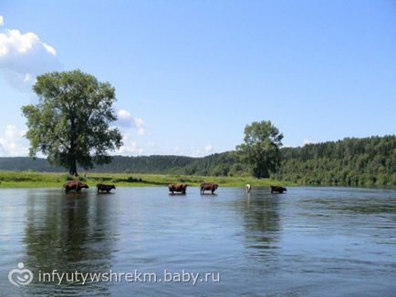 Obiective turistice din regiunea Perm (râul Sylva)